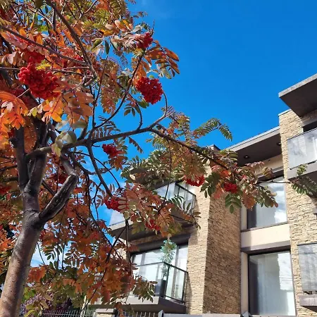 Vista Norte 5 - Andarlibre San Martín de los Andes Exterior foto